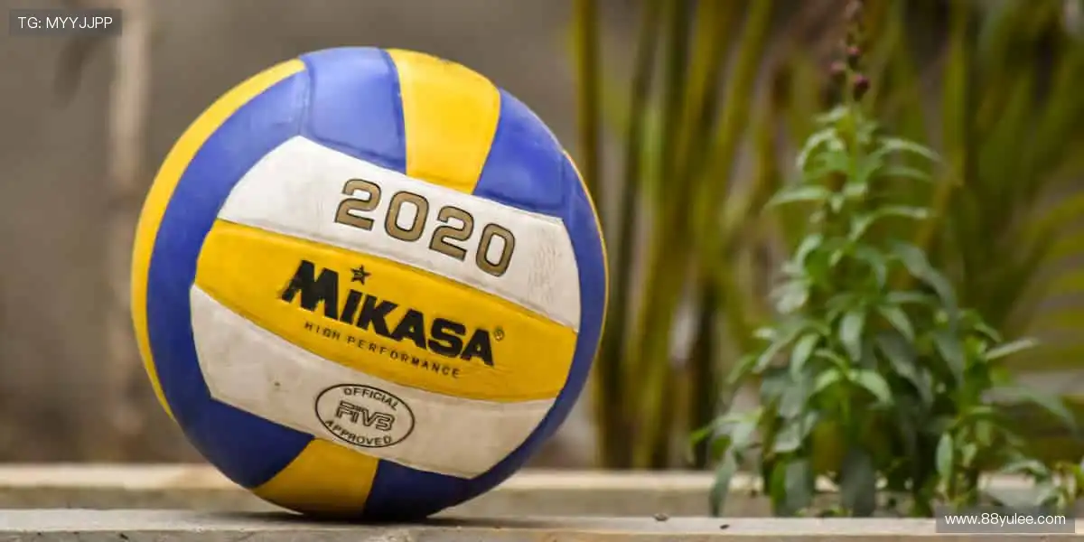 🏆 见证每一刻荣耀,体育赛事官网,让热爱永不缺席!